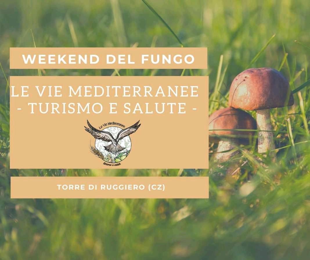 Le Vie Mediterranee Torre di Ruggiero Exteriör bild